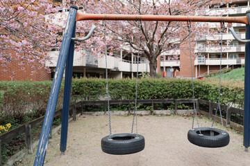 Swing Set in a Spring Park with Cherry Blossoms