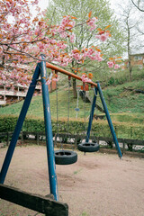Swing Set in a Spring Park with Cherry Blossoms