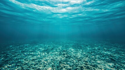 Obraz premium pristine seas pollution concept. Underwater scene with clear turquoise water and visible ocean floor.