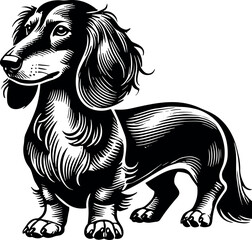 Dachshund Dog vector black silhouette cricut design for T-shirt