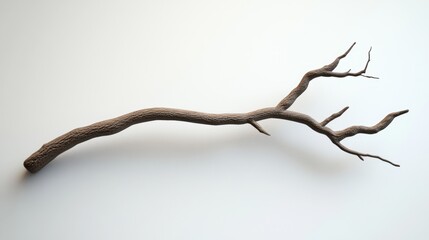 A minimalist 3D model of a single tree branch, set against a clean white background, showcasing its natural curves and simplicity.
