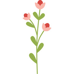 flower illustration minimal style on transparent background