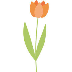 Obraz premium flower illustration minimal style on transparent background