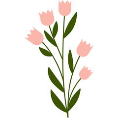 flower illustration minimal style on transparent background