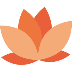 flower with color hand draw style