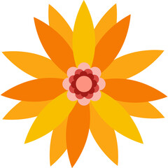 flower with color hand draw style