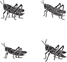 4 Set of Black Desert Locust Silhouettes Isolated on White Background