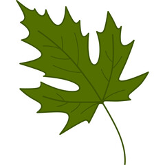 Green leaf cartoon clipart for decoration