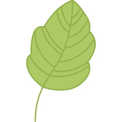 Green leaf cartoon clipart for decoration