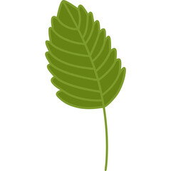 Green leaf cartoon clipart for decoration
