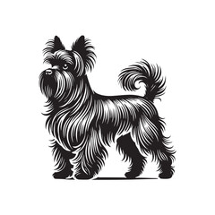 Affenpinscher Dog Silhouette - Affenpinscher Vector - Minimalist Dog Vector - Dog Illustration.