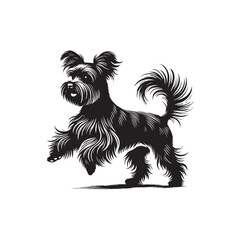 Affenpinscher Dog Silhouette - Affenpinscher Vector - Minimalist Dog Vector - Dog Illustration.