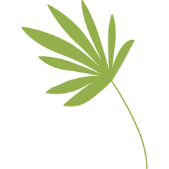 Green leaf cartoon clipart for decoration