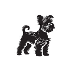 Affenpinscher Dog Silhouette - Affenpinscher Vector - Minimalist Dog Vector - Dog Illustration.