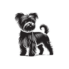Affenpinscher Dog Silhouette - Affenpinscher Vector - Minimalist Dog Vector - Dog Illustration.