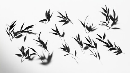 Naklejka premium Black and white image of scattered bamboo leaves and their shadows on a white background.