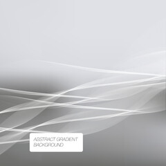 Vector Premium Elegant Grey Texture Background Template