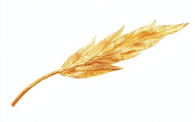 Golden leaf isolated on white background.