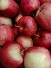 Close-up of red apples with water drops on their surface. Apples take up the entire frame.