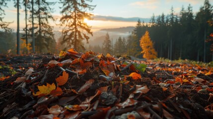 Composting Programs: Helping communities compost organic waste to enrich soil, reduce landfill waste, and lower methane emissions for a more sustainable future.
