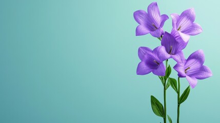 Elegant Purple Flowers Blooming in a Lush Garden Setting