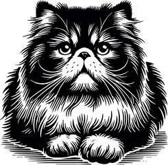 Maine Coon Cat vector black silhouette cricut design for T-shirt