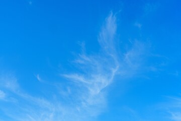 Delicate white clouds drift across a vibrant blue sky in the Netherlands, creating a picturesque...