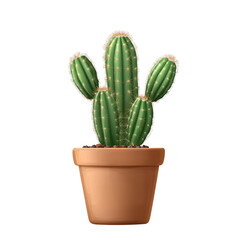 Potted green cactus plant isolated on transparent background.