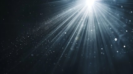 Sunlight Overlay Sun Rays Overlay. Sun Rays