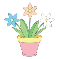 flower in a pot