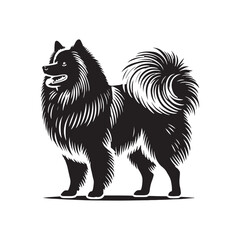Obraz premium American Eskimo Dog Silhouette - Dog Vector - Minimalist Dog Illustration.
