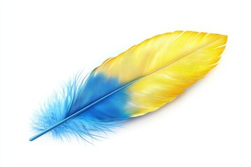 Single yellow and blue feather isolated on white background.