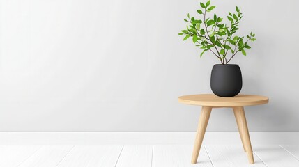 Minimalist Potted Plant on Wooden Table in Modern Interior Setting