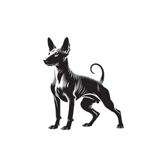American Hairless Terrier Vector Silhouette - Dog Illustration.