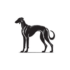 American Staghound Vector - Minimalist Design - American Staghound Silhouette - Illustration of Dog.