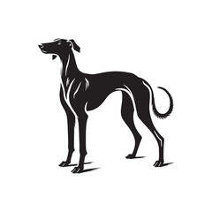 American Staghound Vector - Minimalist Design - American Staghound Silhouette - Illustration of Dog.
