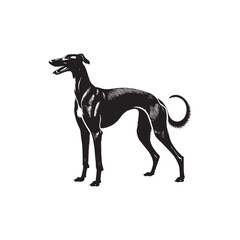 American Staghound Vector - Minimalist Design - American Staghound Silhouette - Illustration of Dog.