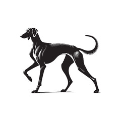 American Staghound Vector - Minimalist Design - American Staghound Silhouette - Illustration of Dog.