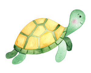 ウミガメの水彩イラスト