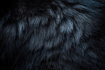 Close up of dark  dense fur; textured  soft  and luxurious animal hair.