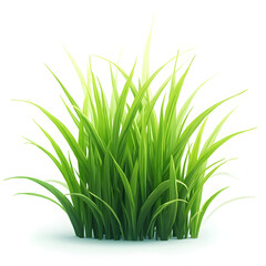 Obraz premium Isolated green grass on white background 