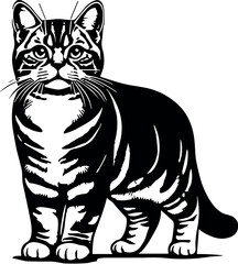 American Shorthair Cat vector black silhouette cricut design for T-shirt
