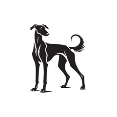 Azawakh Dog Silhouette - Azawakh Dog Illustration - Minimalist Azawakh Dog Vector.