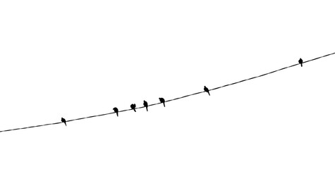 group of Birds on a wire silhouette