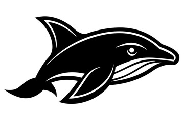 dolphin isolated on white