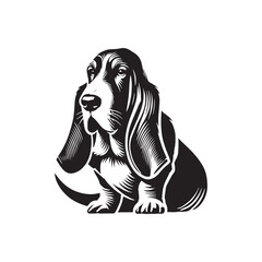 Basset Hound Dog Minimalist Vector - Basset Hound Silhouette - Basset Hound Illustration.