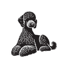 Bedlington Terrier Silhouette - Bedlington Terrier Illustration - Bedlington Terrier Vector Design.