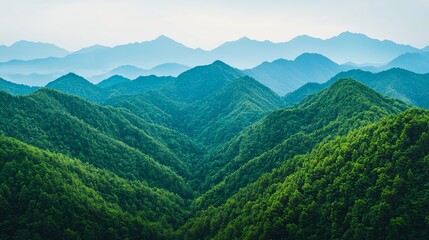 Obraz premium Mountain ridges covered in dense evergreen trees, creating a serene landscape, Nature Mountains Trees