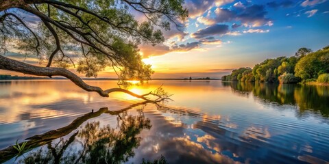 Serene lake scene at sunset with a large tree branch stretched over the water, water, sky,  water, sky