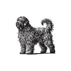 Bergamasco Sheepdog Silhouette - Minimalist Vector of Bergamasco Sheepdog.